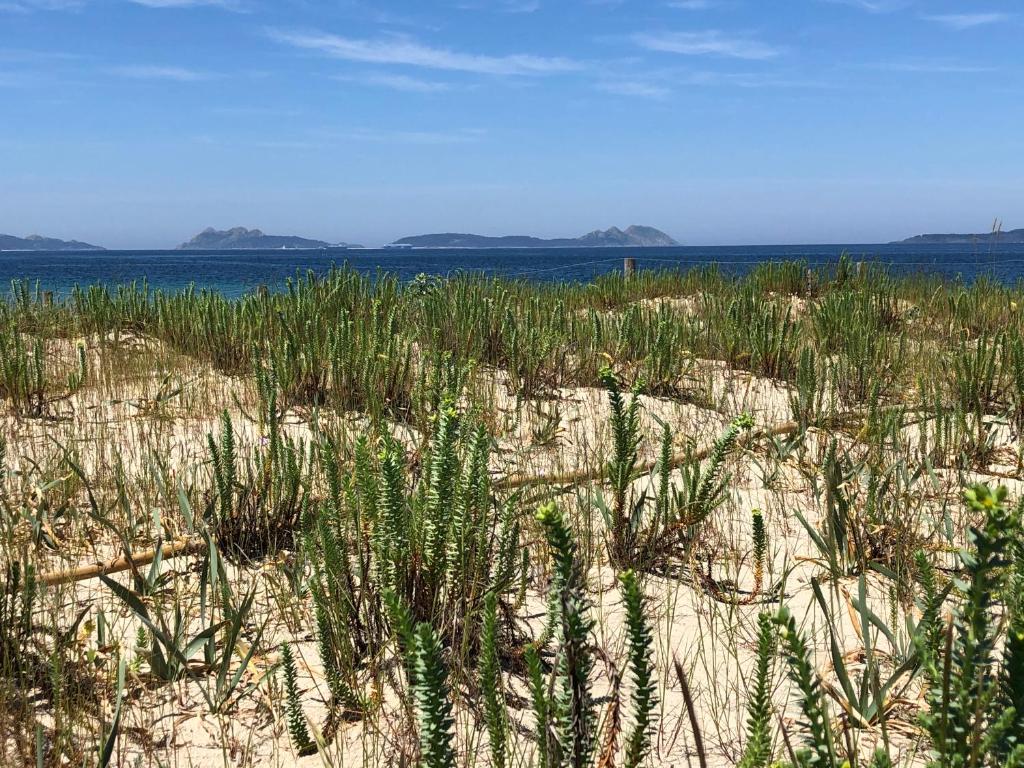 Dunas de la Playa de Samil